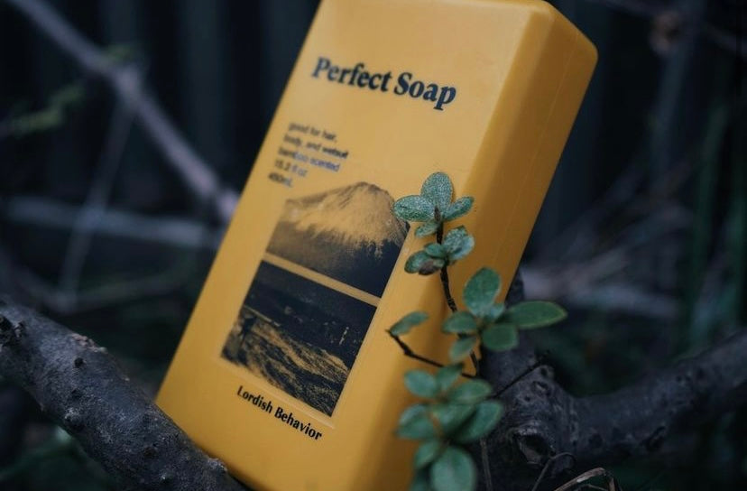 Perfect Soap
